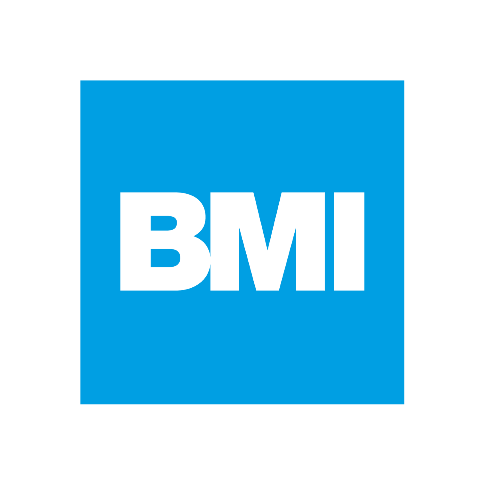 www.bmigroup.com.png